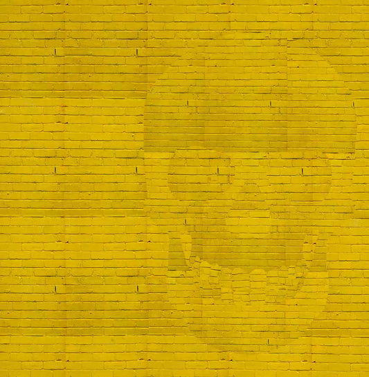 Janenne Eaton: Lines of Sight—Frame and Horizon catalogue